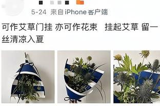 镜报：阿森纳夏窗有4个潜在引援目标，另有3名球员可能离队